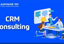 CRM consulting