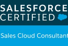 salesforce certified consultant